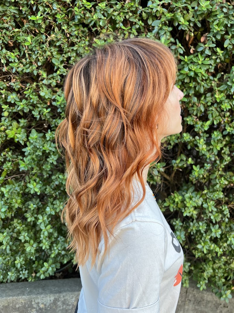 Holly Dabkowski Hairstylist Sonoma County photo 5