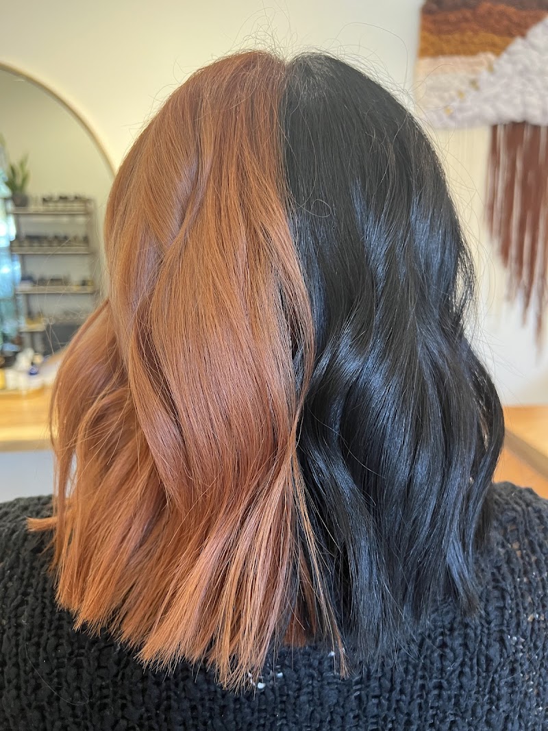 Holly Dabkowski Hairstylist Sonoma County photo 3