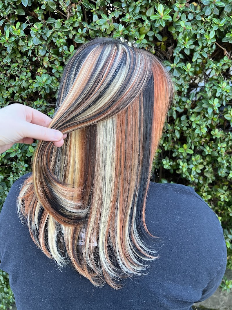 Holly Dabkowski Hairstylist Sonoma County photo 2
