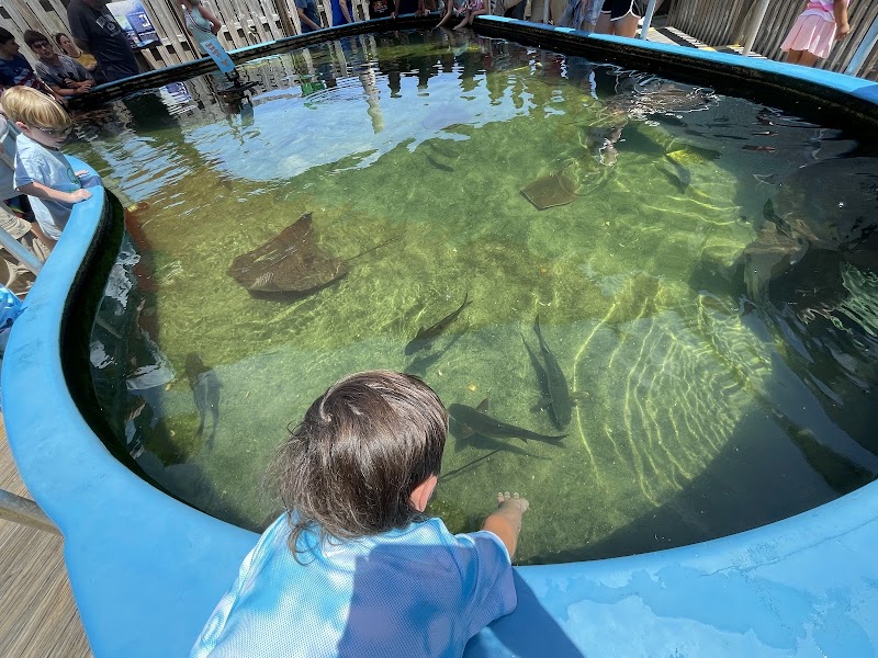 Photo of Alabama Aquarium at the Dauphin Island Sea Lab
