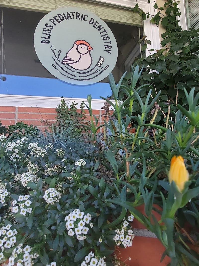 Bliss Pediatric Dentistry- Dentist For Kids in San Carlos photo 5