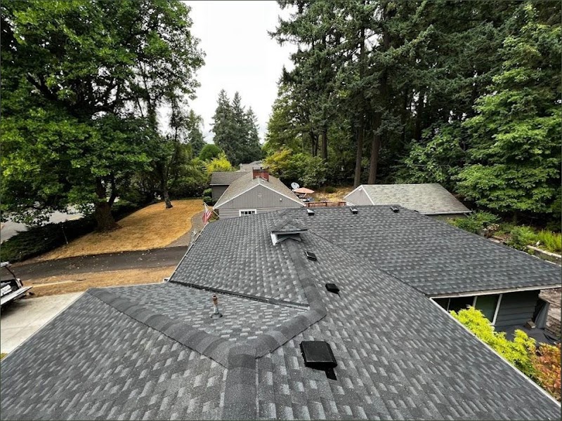 Carl & Sons Roofing & Remodeling LLC photo 2
