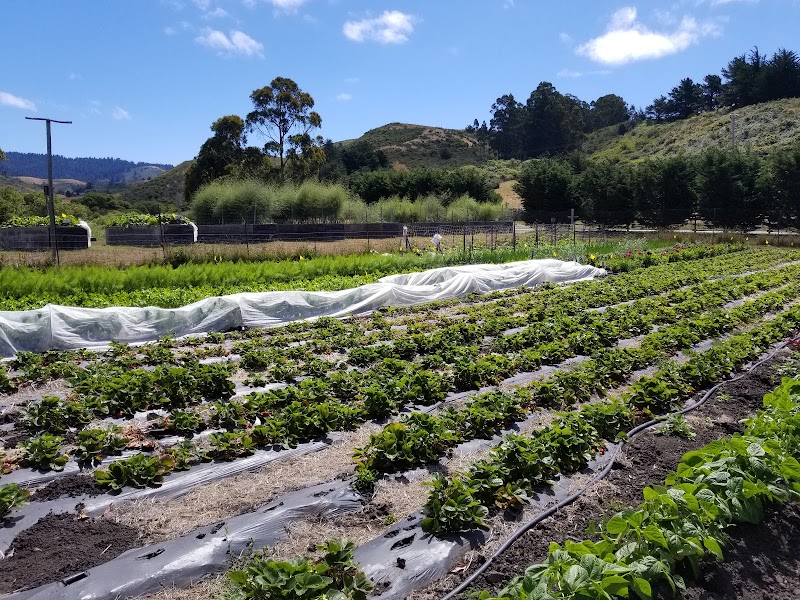 Potrero Nuevo Farm photo 2