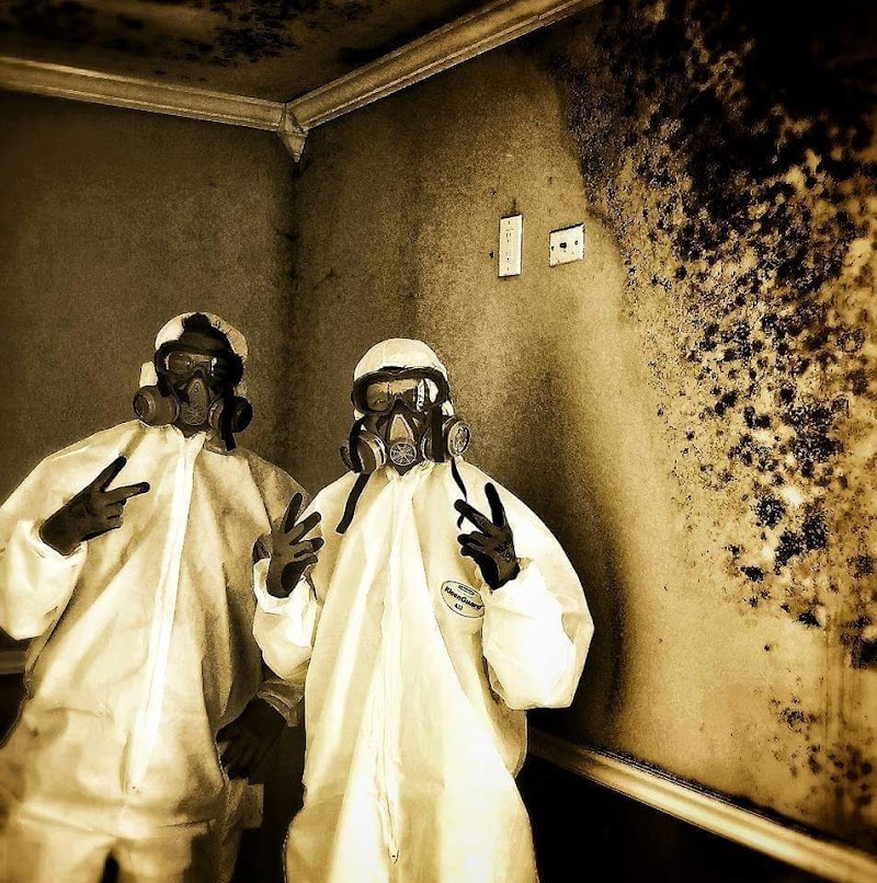 The Mold Guyz photo 5