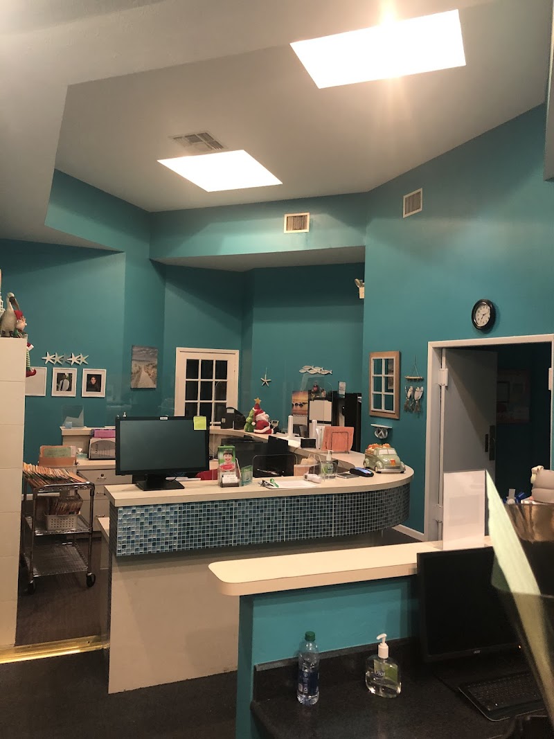 Palm Tree Dentistry - Palm Harbor photo 5