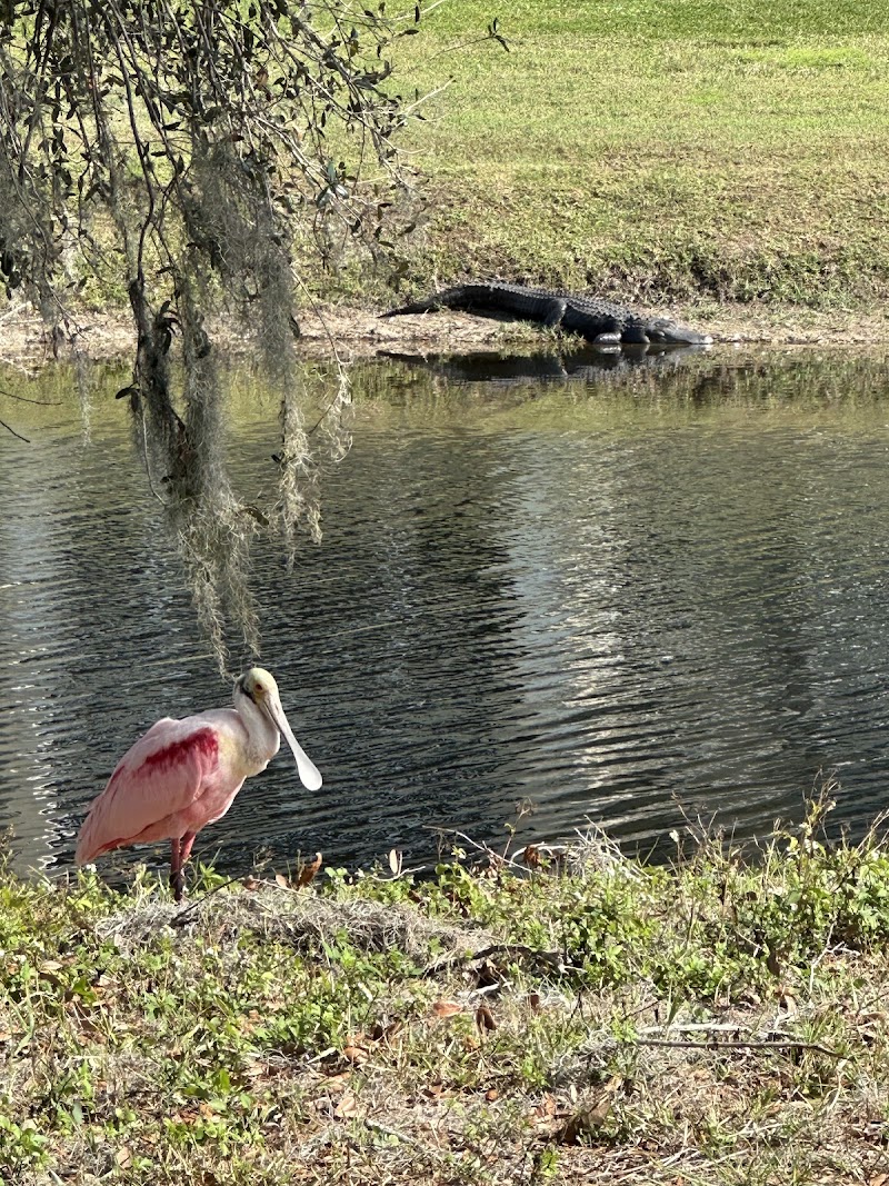 Caloosa Golf Club photo 3