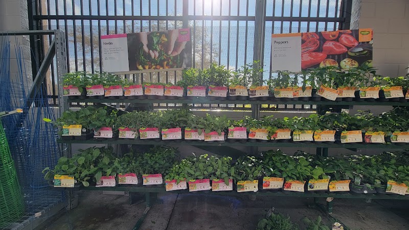Photo of Walmart Garden Center