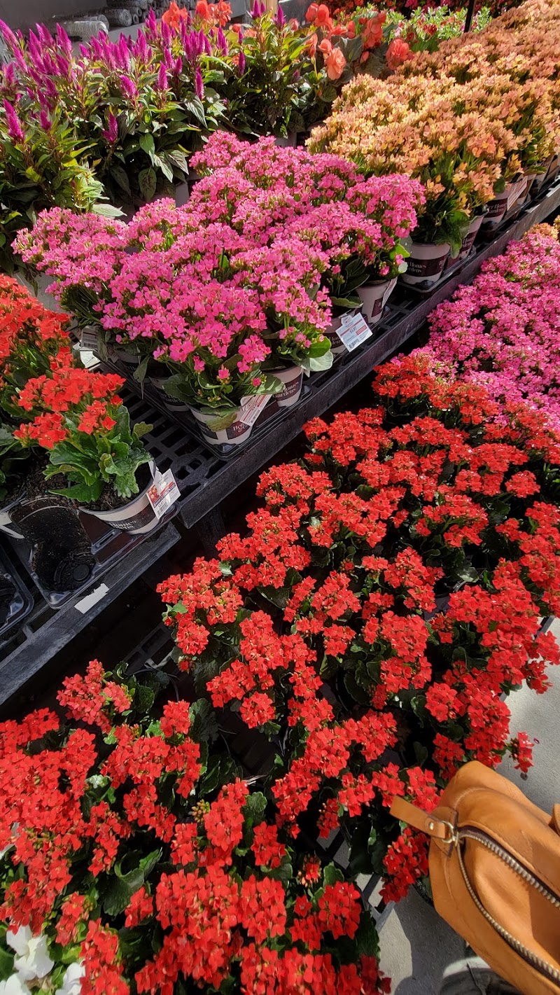 Walmart Garden Center photo 5