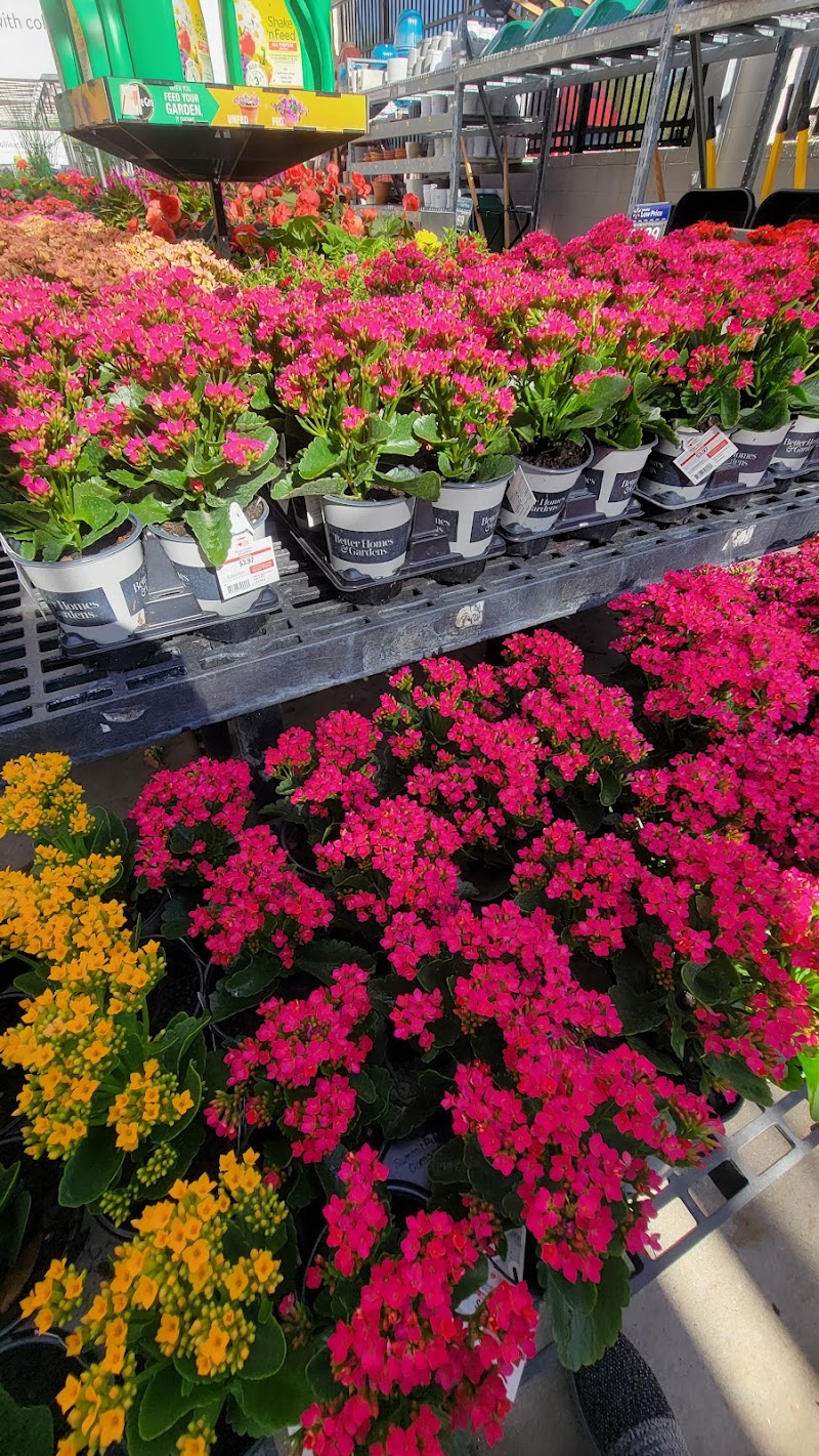 Walmart Garden Center photo 4