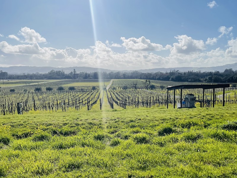 Gundlach Bundschu Winery photo 3