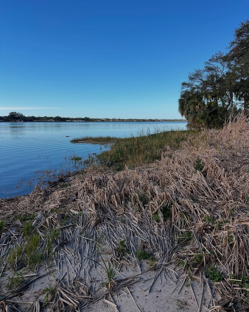 Wetland Observation Deck photo 2