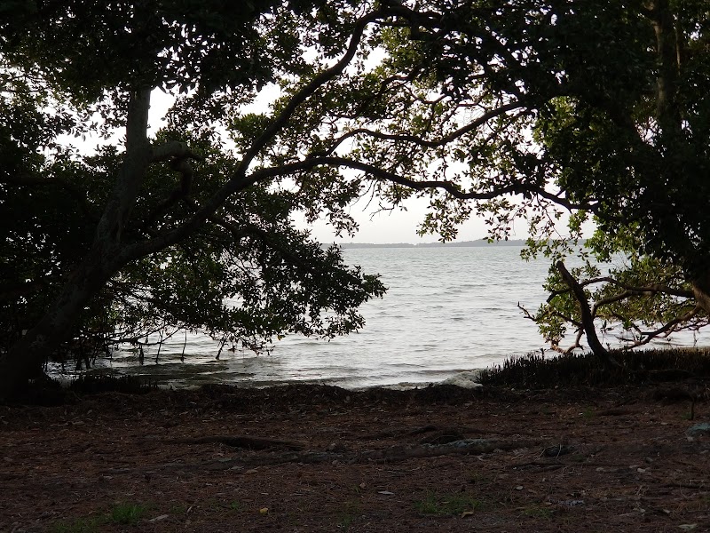 Primitive Camp photo 5