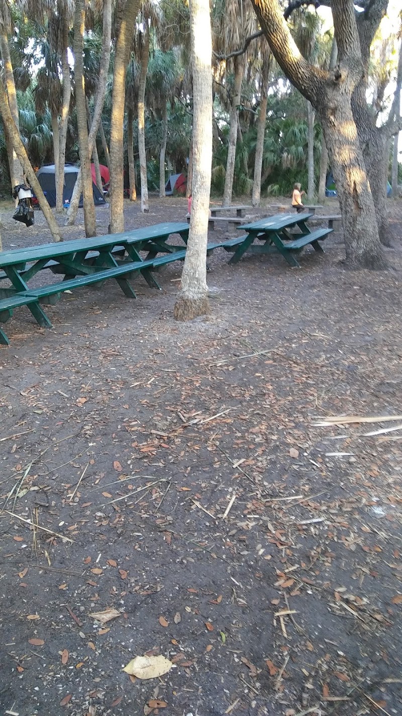 Primitive Camp photo 4