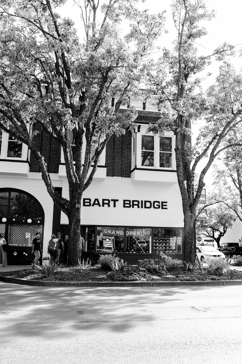Photo of Bart Bridge
