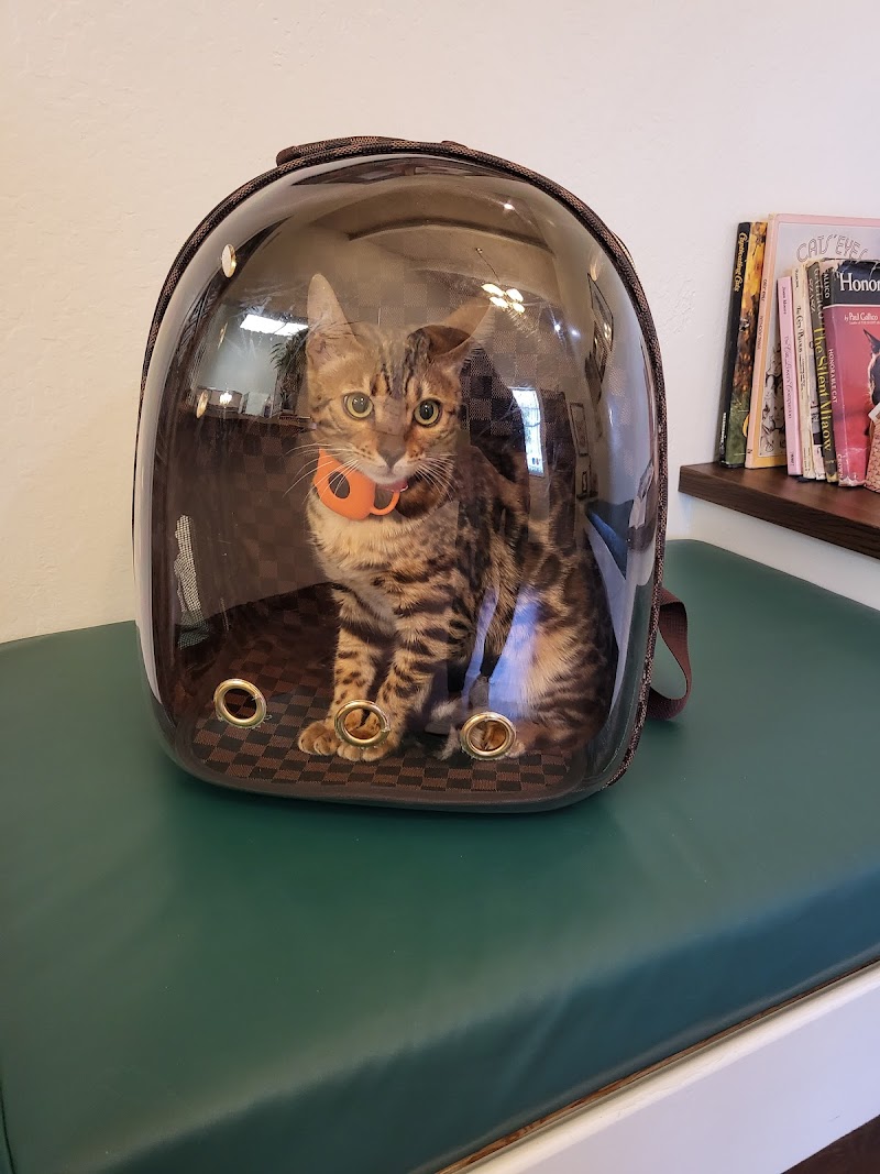Moraga Veterinary Hospital photo 2