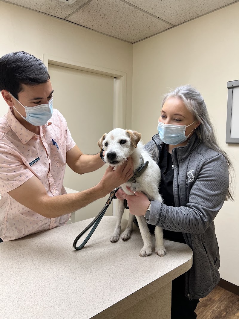 Moraga Veterinary Hospital photo 4