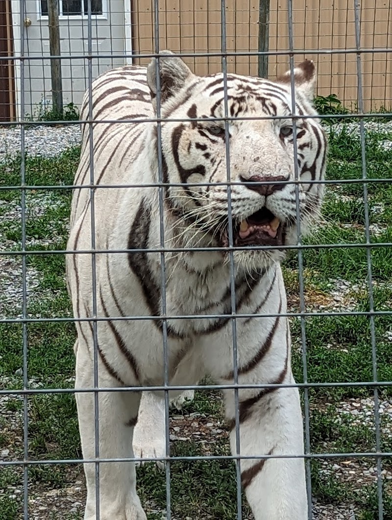 Hovatter’s Wildlife Zoo photo 3