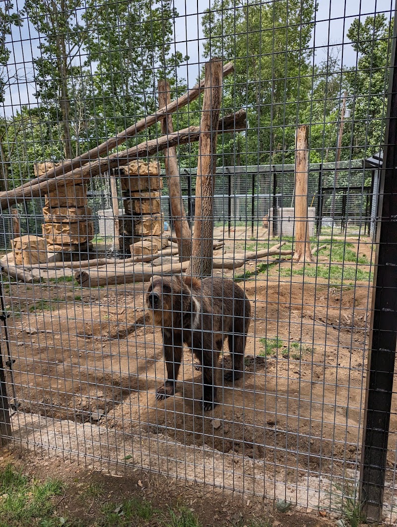 Hovatter’s Wildlife Zoo photo 2