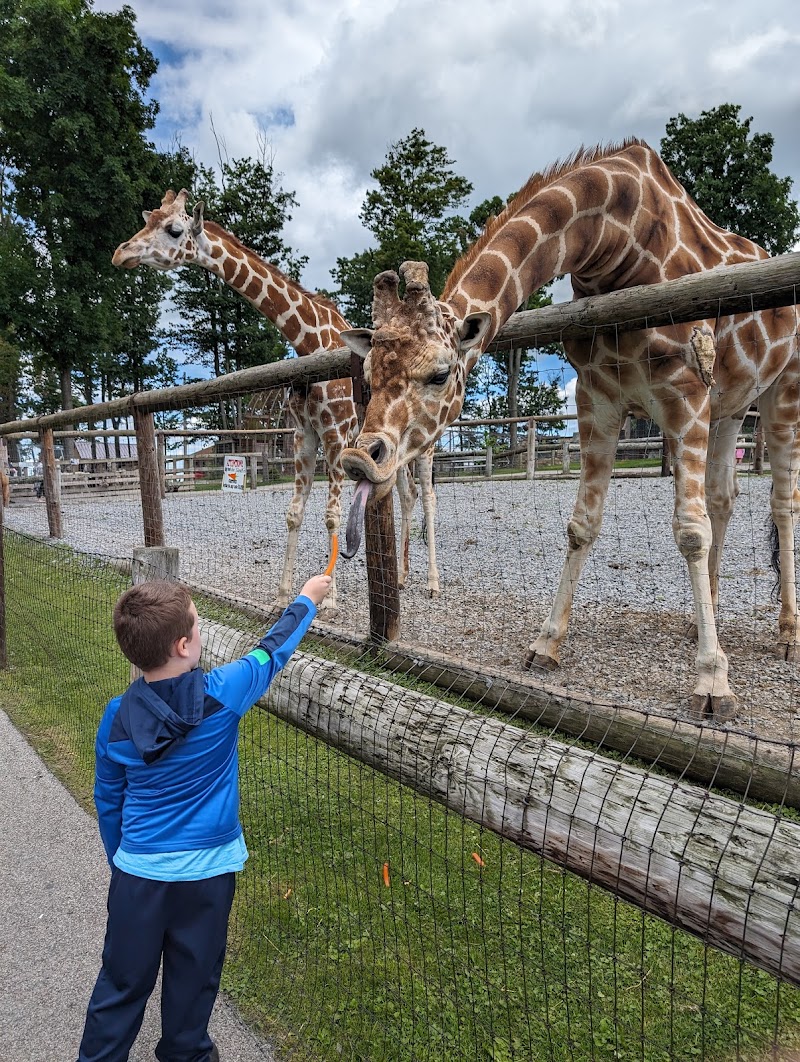 Photo of Hovatter’s Wildlife Zoo