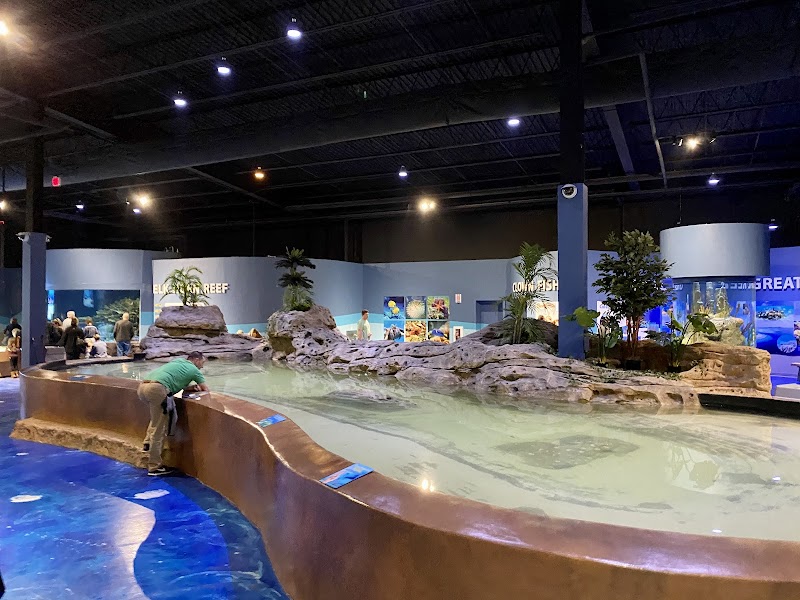 Photo of Living Shores Aquarium