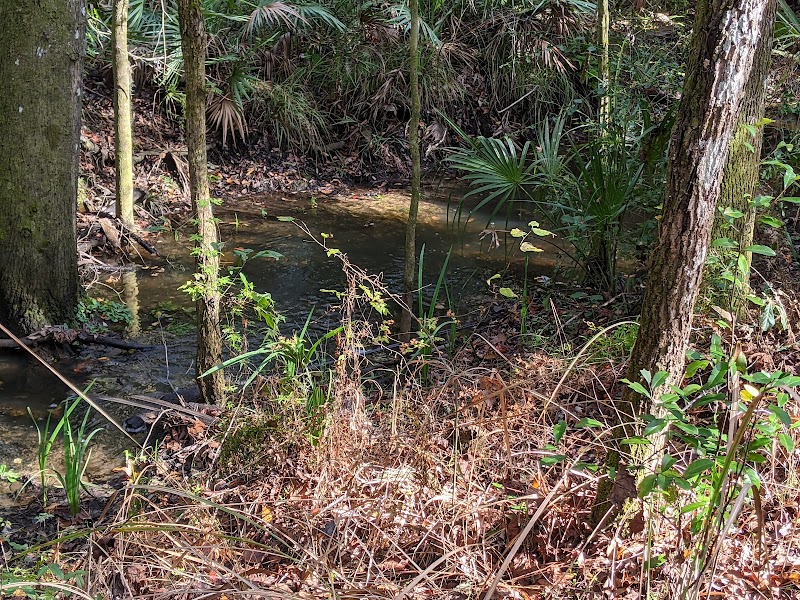 Pinecrest Sports Complex photo 5