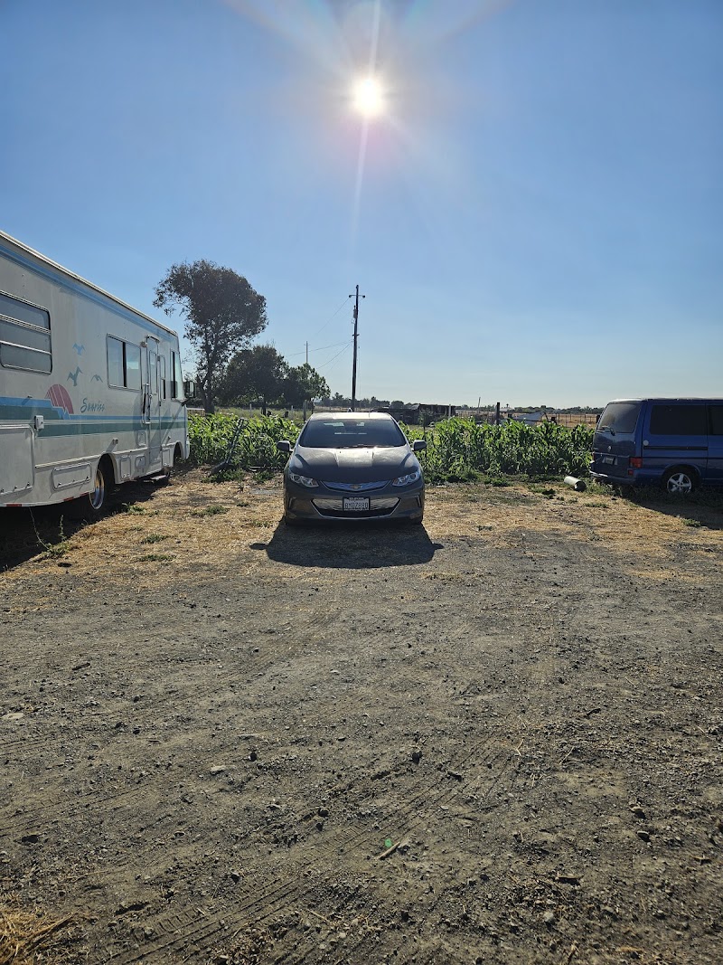 Eagle Lane RV and Boat storage photo 5