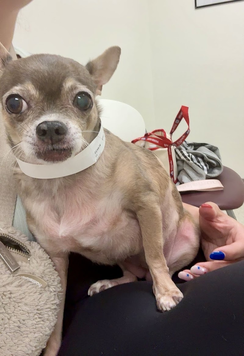 UC Davis Veterinary Hospital - Small Animal Clinic photo 5