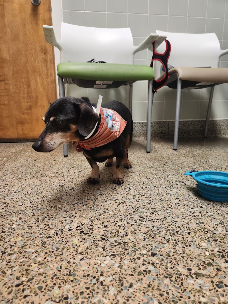 UC Davis Veterinary Hospital - Small Animal Clinic photo 2