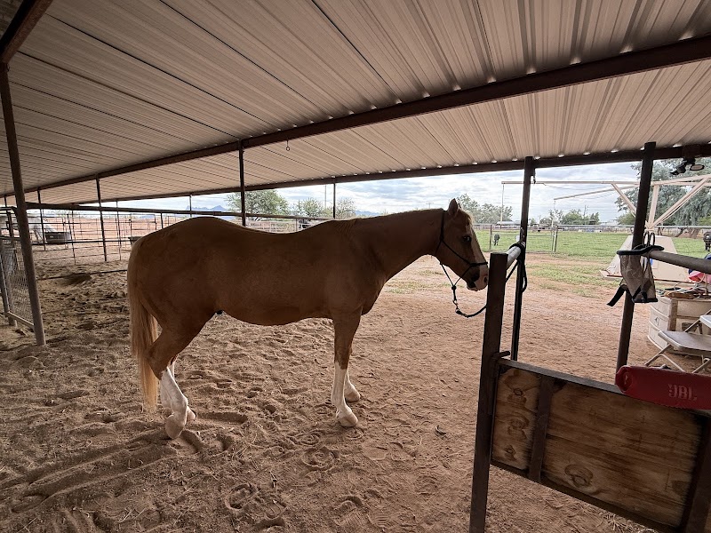ForEver After All Ranch LLC photo 2