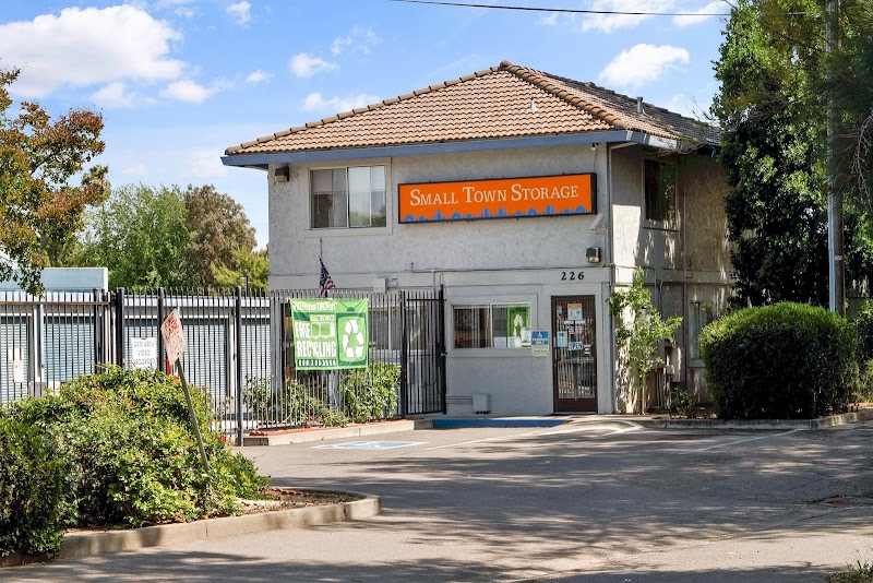 Small Town Storage photo 2