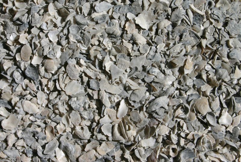 Photo of Lind Marine Collinsville