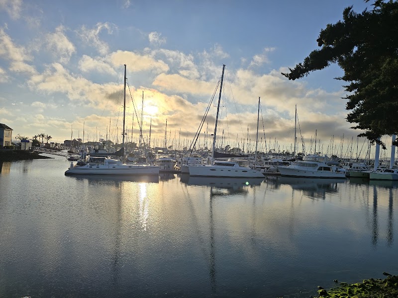 Trader Vic's photo 4