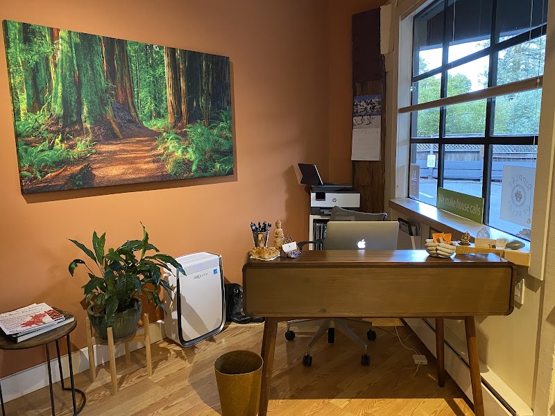 Marin Holistic Health & Acupuncture photo 3