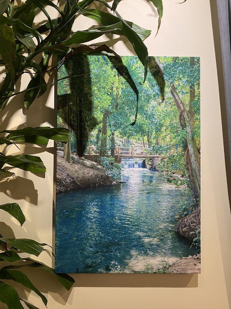 Marin Holistic Health & Acupuncture photo 5