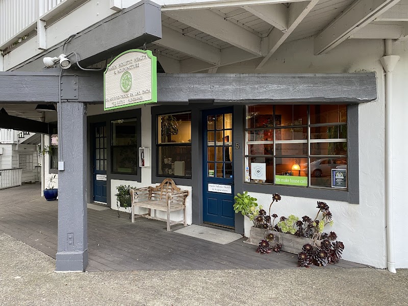 Marin Holistic Health & Acupuncture photo 2