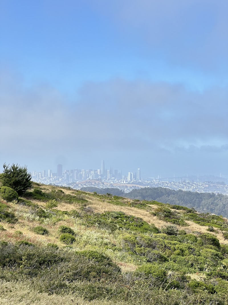 San Bruno Mountain Picnic Area photo 3