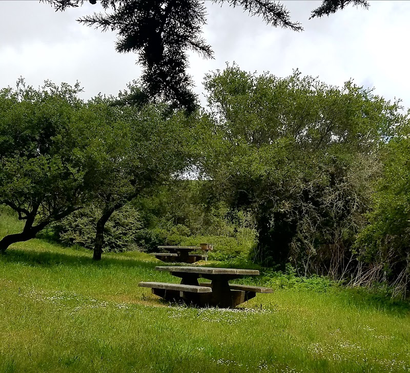 San Bruno Mountain Picnic Area photo 5