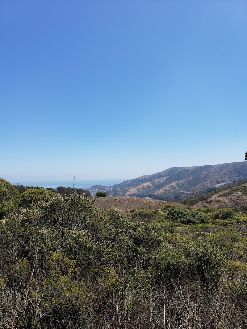 San Bruno Mountain Picnic Area photo 2