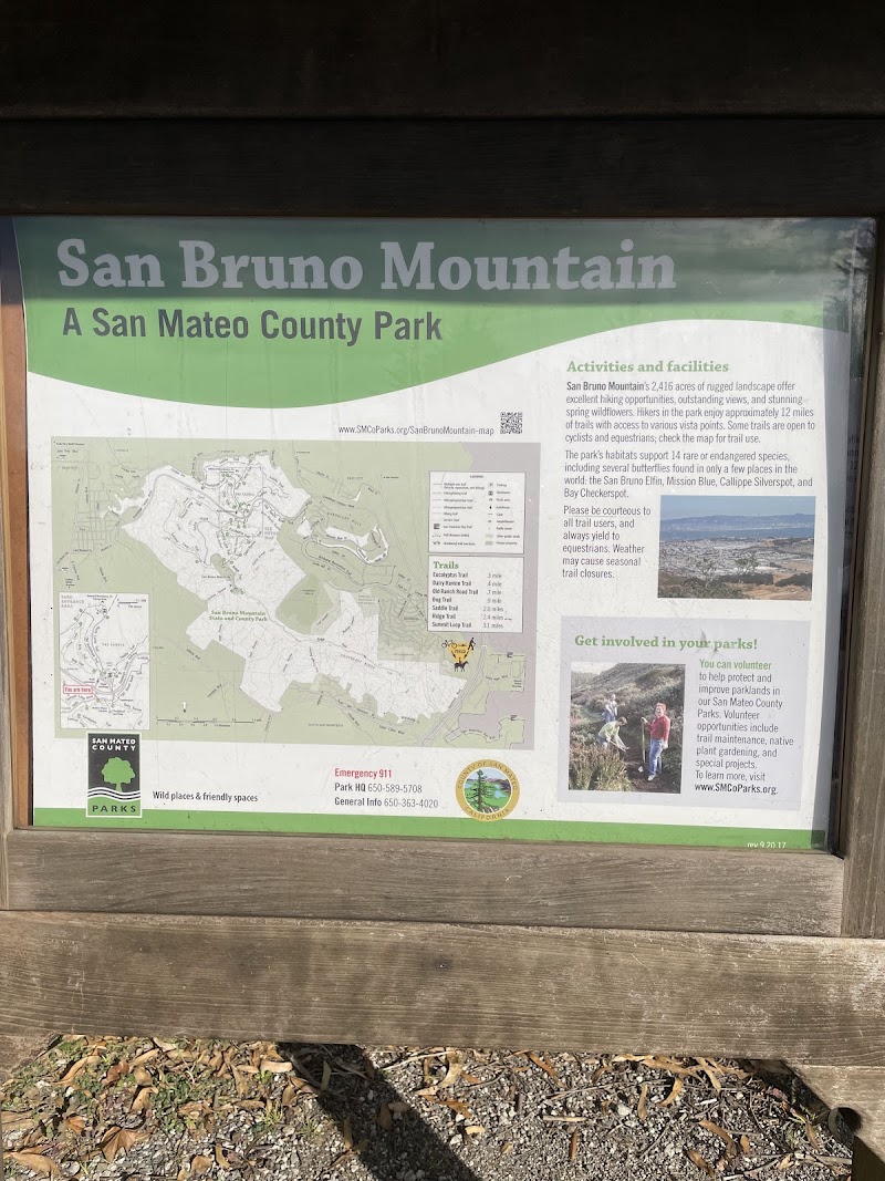 San Bruno Mountain Picnic Area photo 4