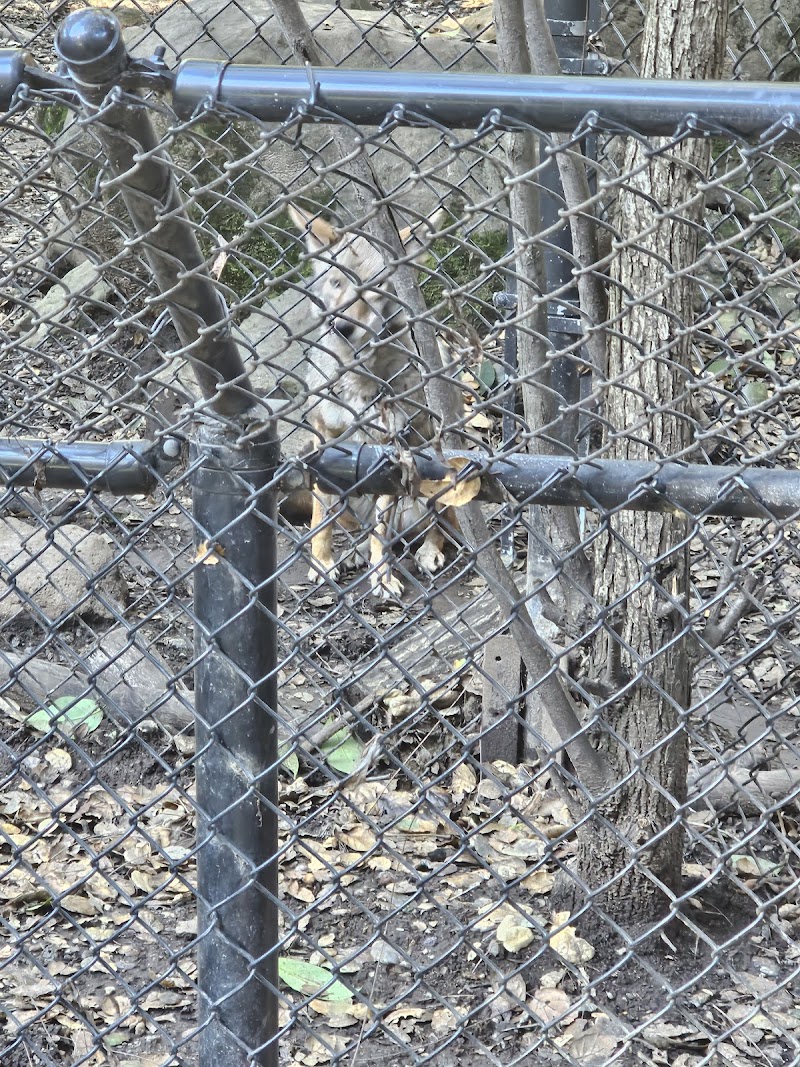 Sulphur Creek Nature Center photo 5