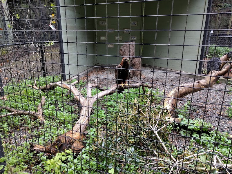 Sulphur Creek Nature Center photo 4