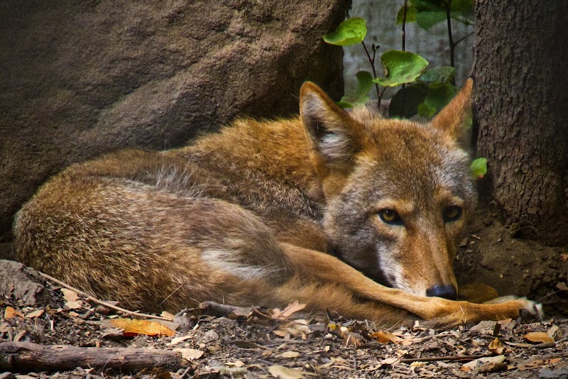 Photo of Sulphur Creek Nature Center