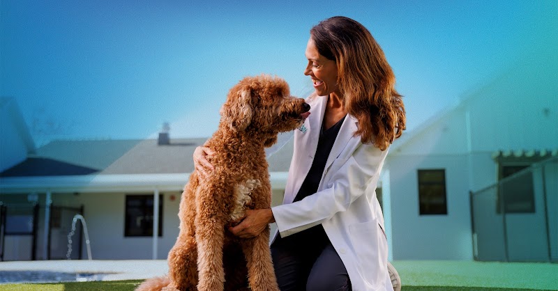 Photo of NewDay Veterinary Care Apollo Beach