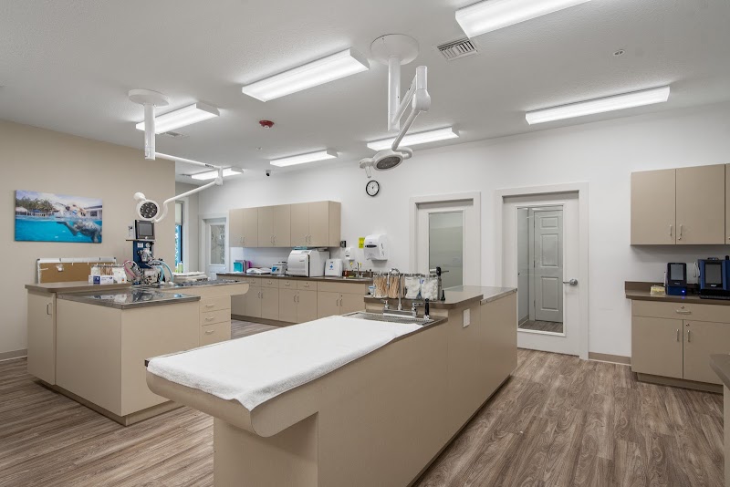 NewDay Veterinary Care Apollo Beach photo 5