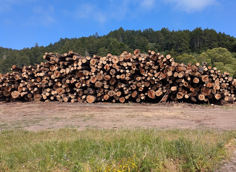 Bay Area Firewood Delivery photo 2