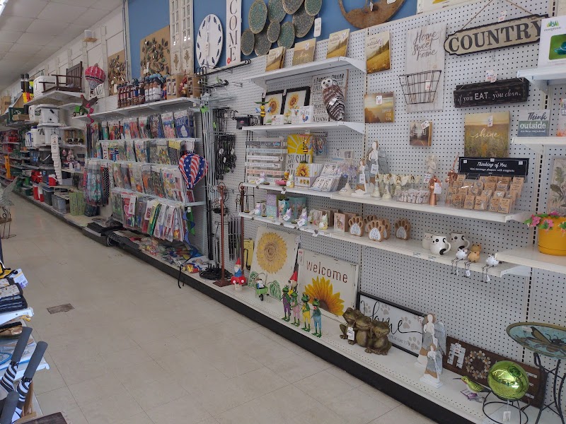 Ace Hardware of Lithia photo 2