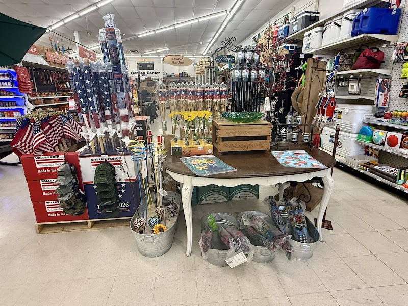 Ace Hardware of Lithia photo 5