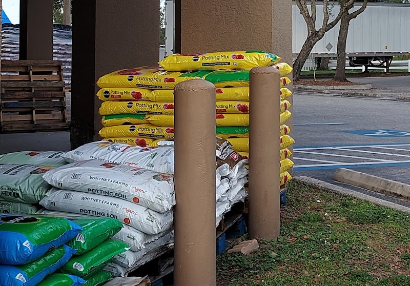 Ace Hardware of Lithia photo 3