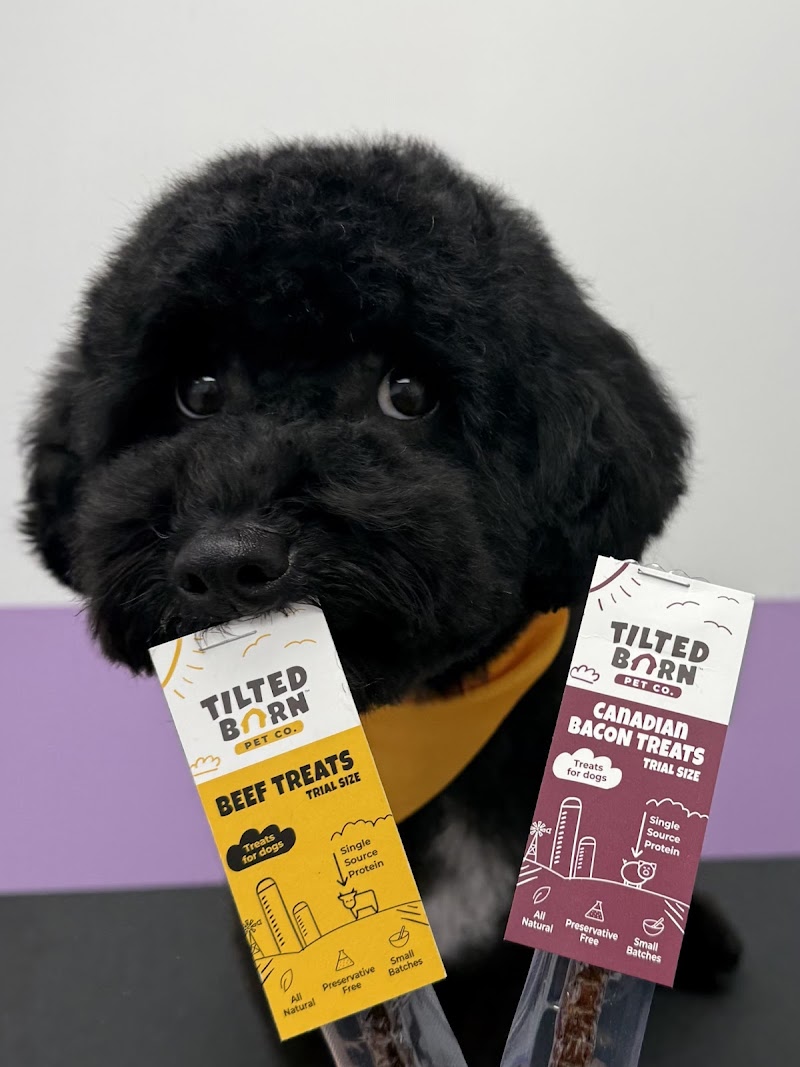 Pawssentials photo 4