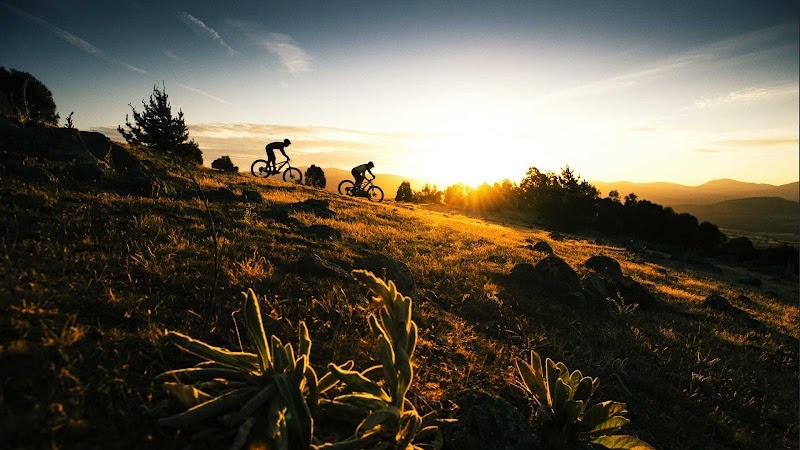 Trek Bicycle Oro Valley photo 2